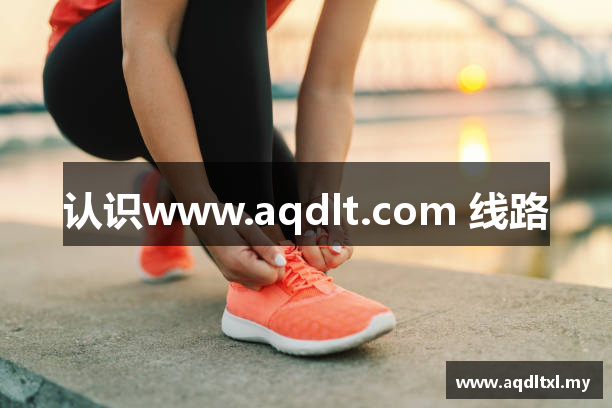 认识www.aqdlt.com 线路
